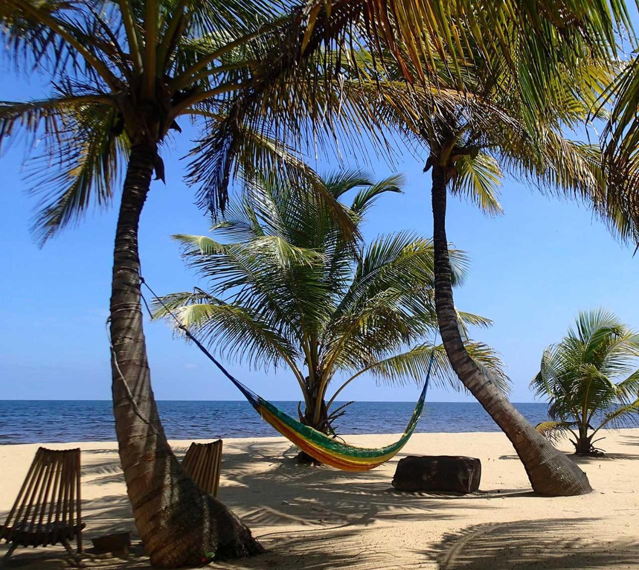 Sabal Beach Punta Gorda Extérieur photo